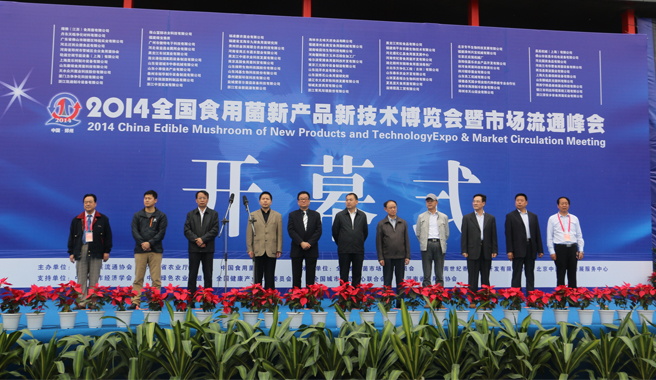 2014 China Edible Mushroom New Product and Technology Expo opening ceremony