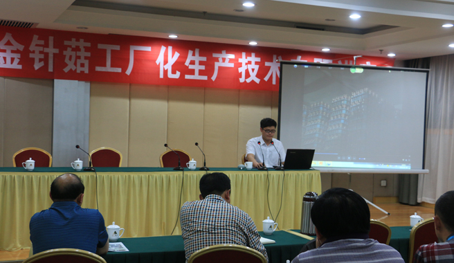 “Enoki Mushroom Factory Production Technology Special Lecture” was held in Zhengzhou