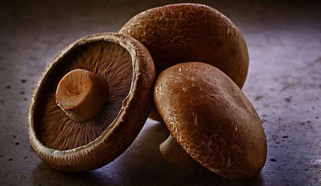 Fresh Chestnut Mushroom