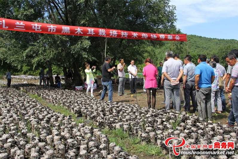 QQ截图20140917155547