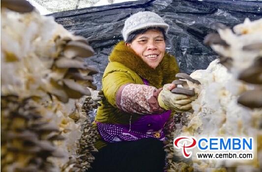 QQ截图20150112161908
