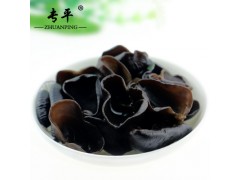 Fresh Black fungus