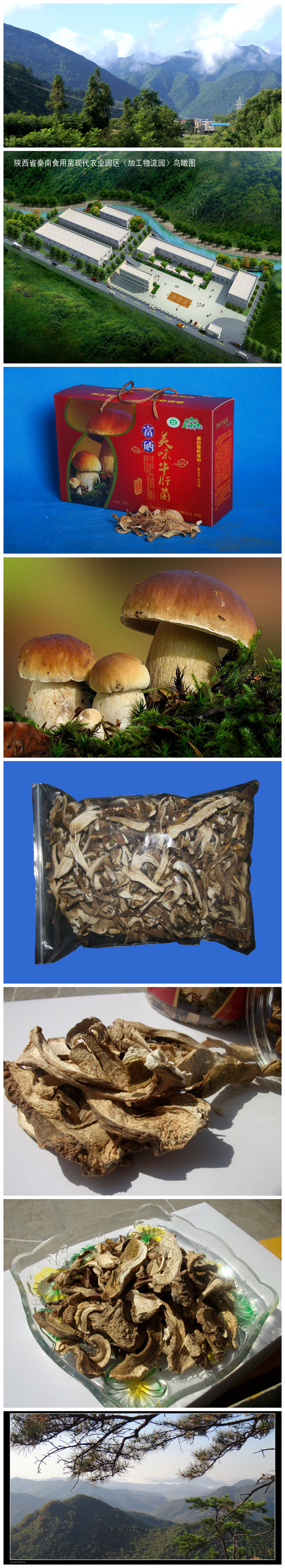 Qinnan wild Boletus