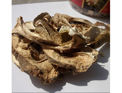 Wild Dried Boletus Gift