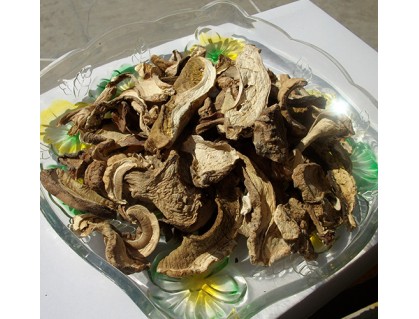 Wild Dried Boletus Gift