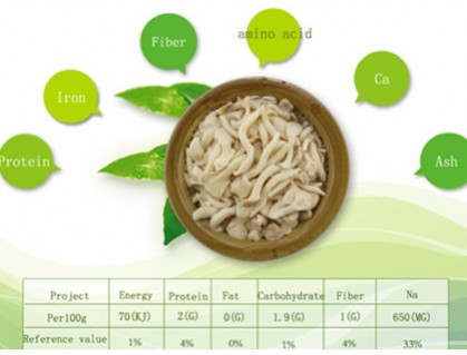 Pleurotus cornucopiae Tin