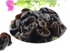 Black fungus