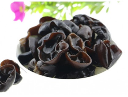 Black fungus