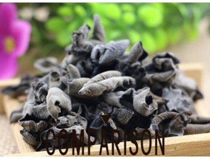 Black fungus