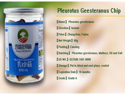 Pleurotus Geesteranus Chip