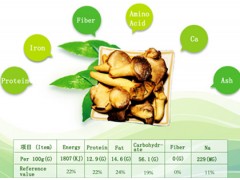 Pleurotus Geesteranus Chip